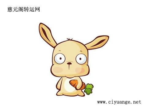 属鼠人的今年运势，生肖鼠命中有两大贵人