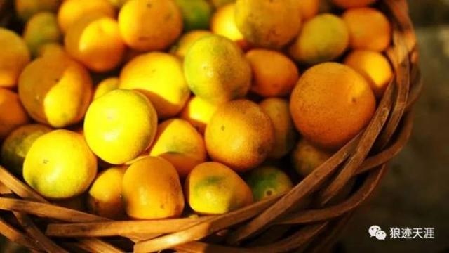 属兔生于农历九月，农历九月十七出生属兔