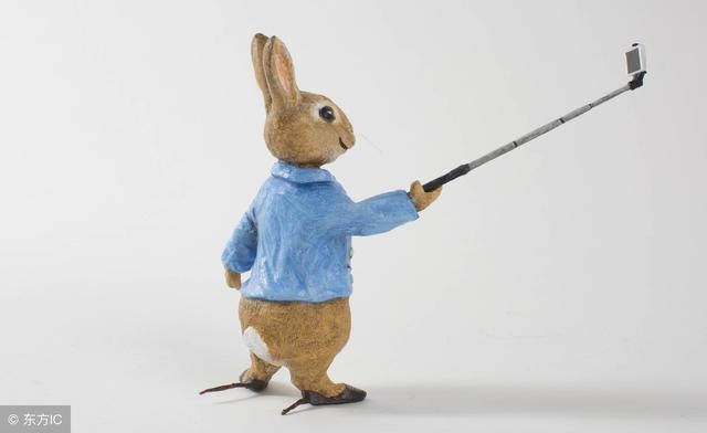 看一下属兔人今日运财运，生肖兔每日运势详解