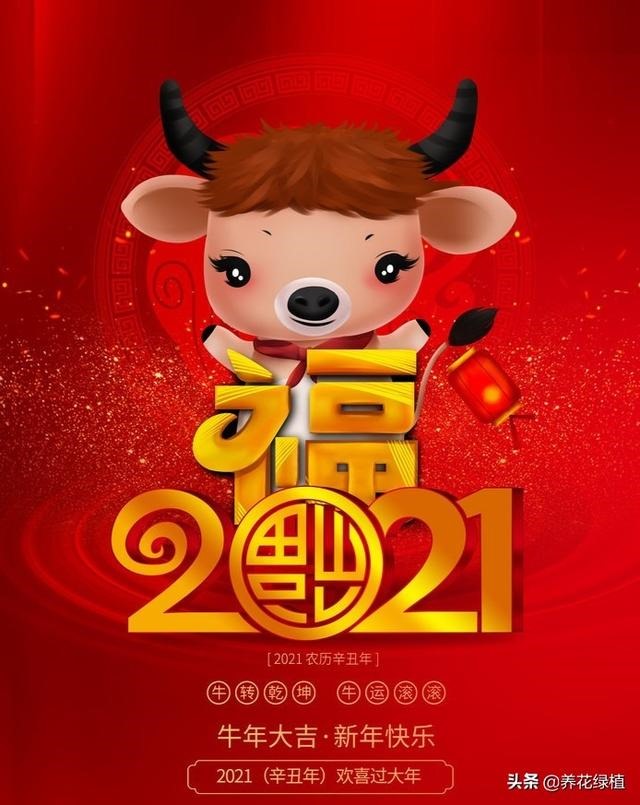 属牛是辛丑年属兔是什么年，属龙和什么属相最配