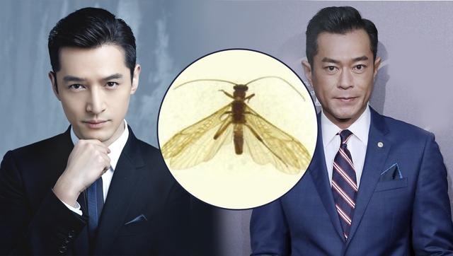 999属兔更佳结婚对象男，属龙男和什么属相最配"