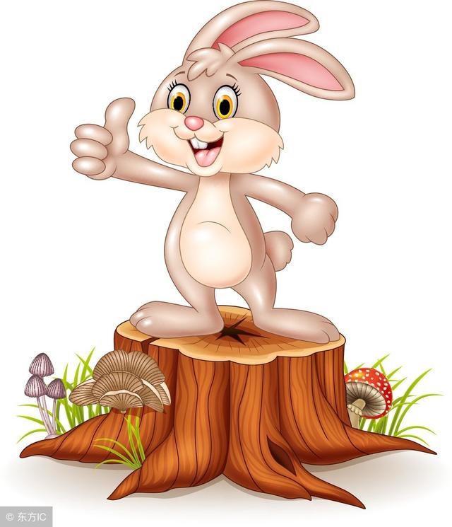 属兔的女人今年运势怎么样，属兔女2022 年全年运势