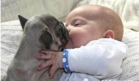 982年狗宝宝几月出生更好命，82年属狗生肖一生运势"