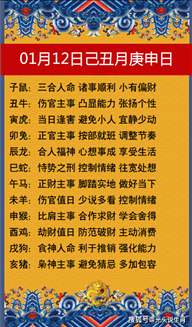 022年十二生肖运势，2022年十二生肖运势及运程详解"