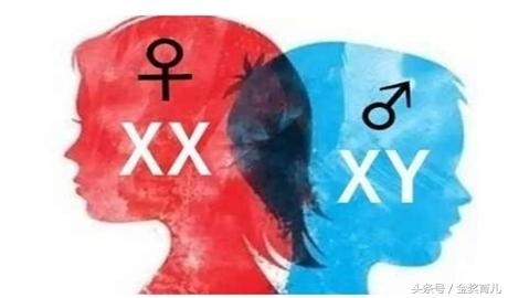 日历查怀孕男女月份,输入怀孕月份算男女