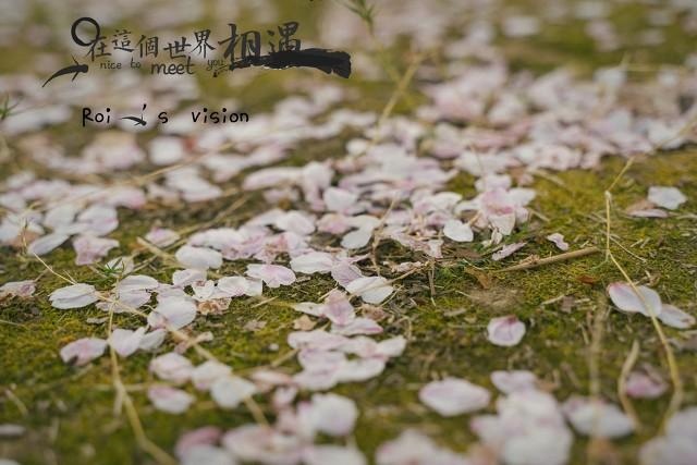 命里感情不顺怎么化解，感情一直不顺是命吗