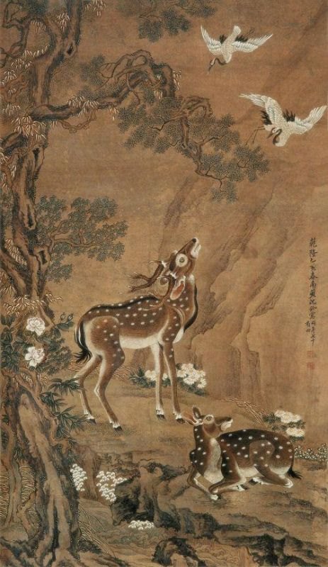 桃花的寓意和象征风水，桃花为什么代表爱情