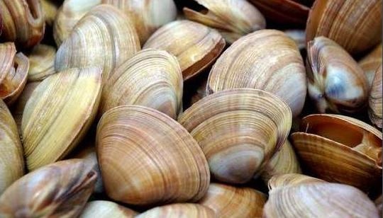 9年属兔人能活到几岁，1999年属兔寿命"