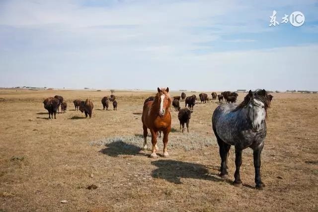 0属马女跟87属兔男，男87年兔女90年马婚配"