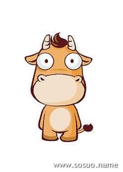 属牛男可以配属兔女吗，男牛跟女兔属相婚配如何