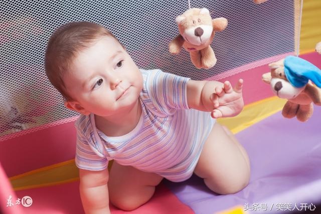 怀上贵子的征兆喜鹊报喜，被喜鹊拉屎是什么征兆