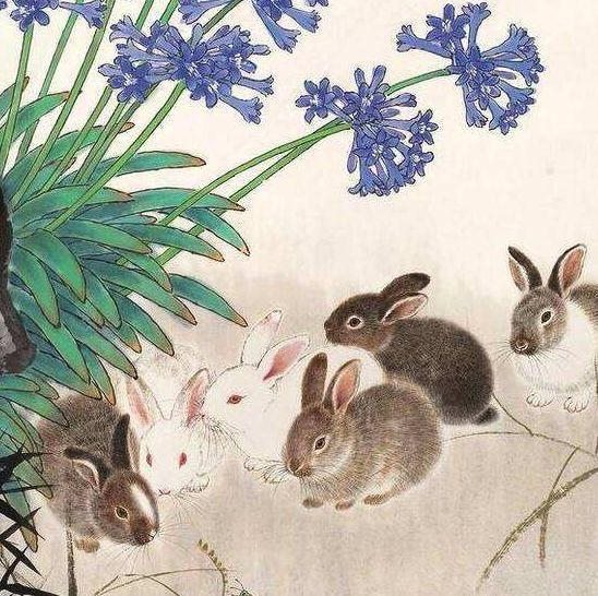 属兔的今年多大87年,属虎的今年多大2022 年