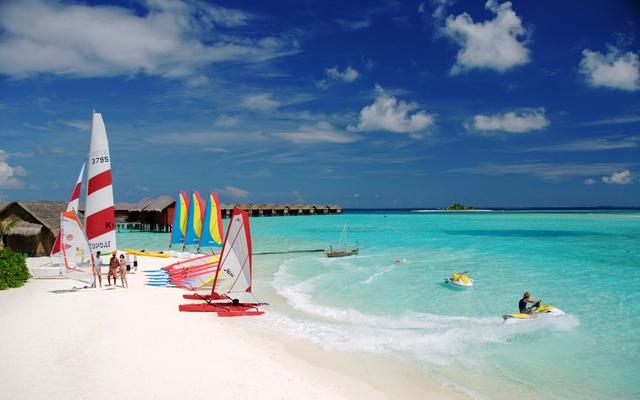 蛇的生肖贵人属相,属蛇的六合生肖是什么