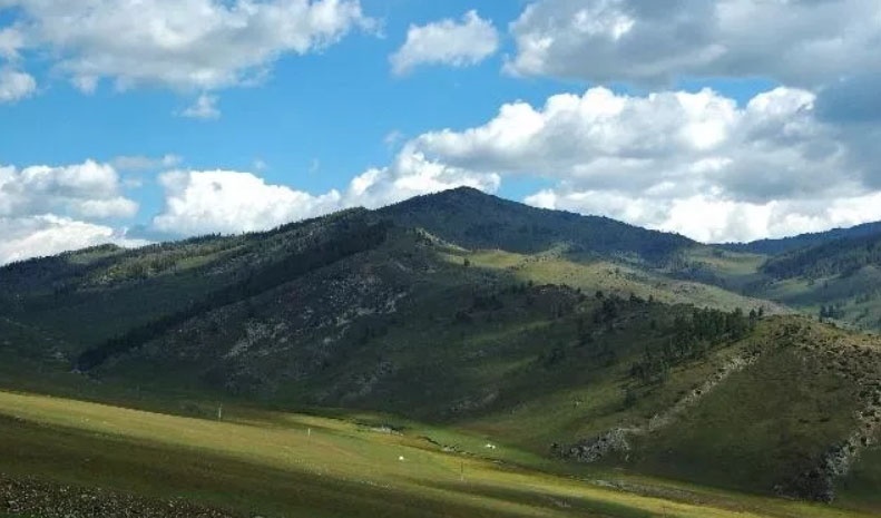 022年宝宝五行缺什么，2022年一月出生的五行缺什么"