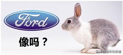 生肖兔适合开什么车，75年属兔车牌吉祥数字