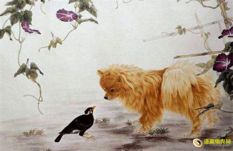 2属狗女一生命运，1982年属狗的婚姻和命运"