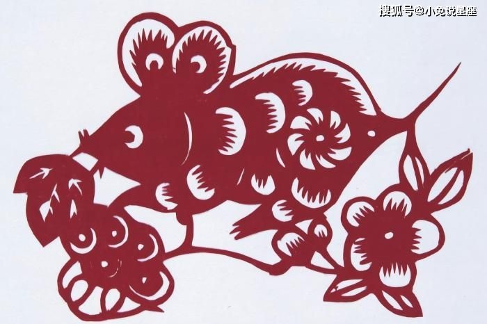 022年喜得贵子的生肖,2022年几月出生是男宝宝"