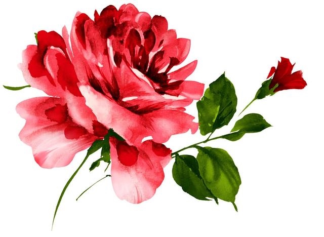 虎生肖穿什么颜色最旺，人黑适合穿什么颜色