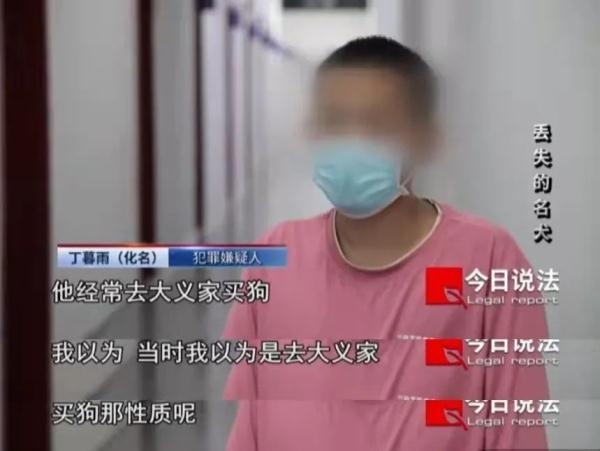 4年狗和00女龙夫妻例子，94年狗女00年龙合婚不"