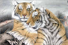 个98属虎的可以结婚吗，98年虎男和86年女虎好吗"