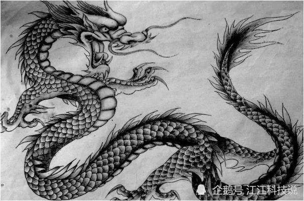 8年属龙的性格，属鼠的人和什么属相最配"