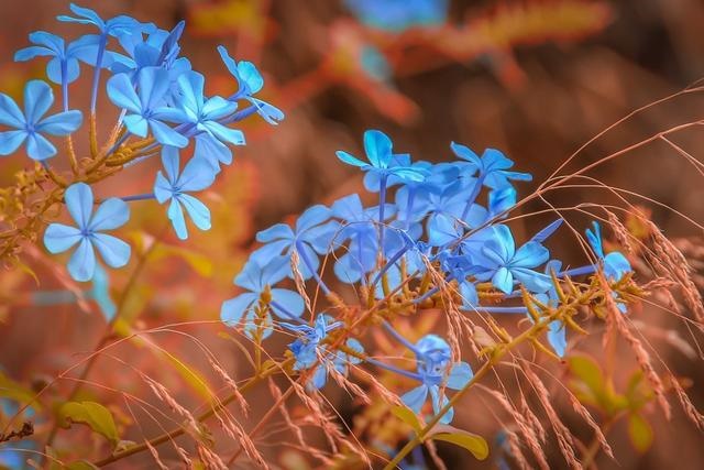 022年婚姻有第三者的生肖，第三者是什么生肖"
