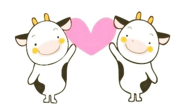 7的牛今年运势怎样，1997年属牛一生运势"