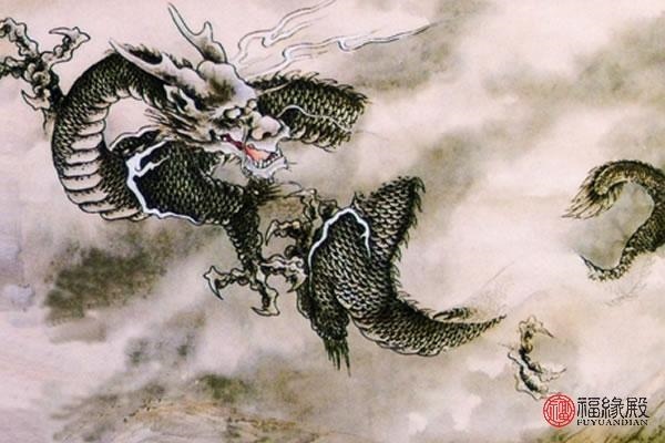 7兔男88龙女婚姻，87兔男和88龙女"