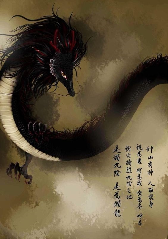 2年的龙是什么命，88年属龙女一生劫难"