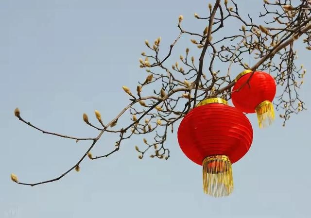 022年全年资料免费看，2022年冬奥会三个城市"