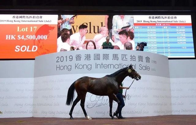 2生肖号码图买马，今年49个号码生肖图"