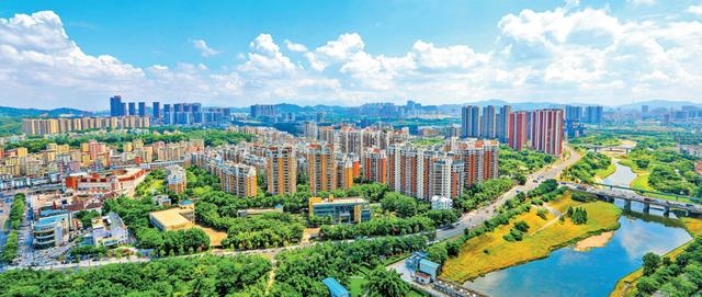 8年龙未来五年，2022