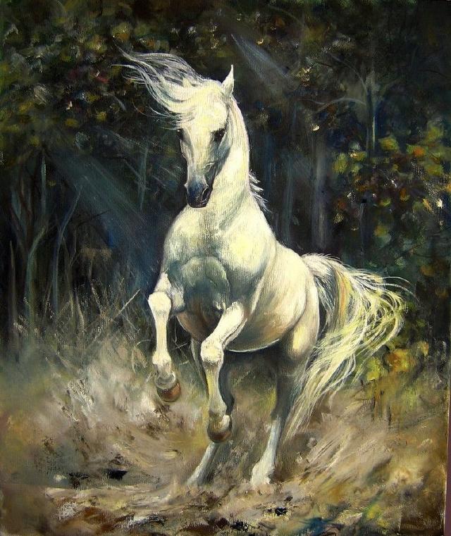 人物动物图片大全，人物动物植物简笔画组合