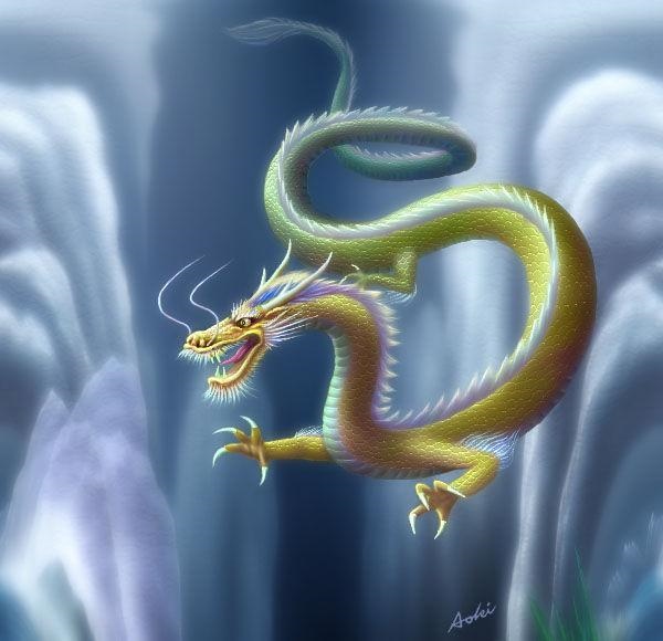 988年的龙龙相配吗,1988年与1988年相配吗"