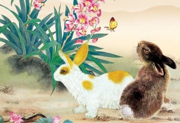 属兔的今年有多大年纪，1975属兔45岁以后运气