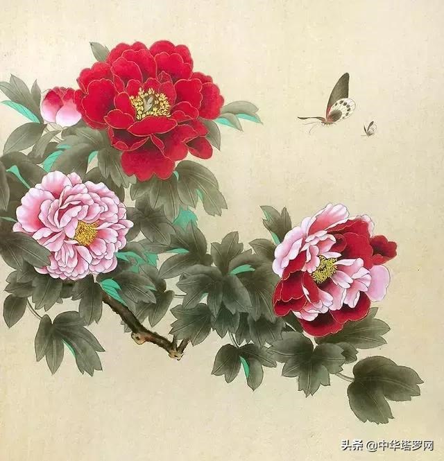 农历几月出生的女人命好，农历几号出生的人好命