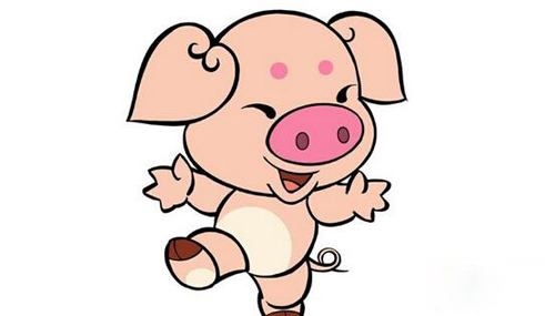 属猪全年运程每月运势，属猴2022 年每月运势及运程