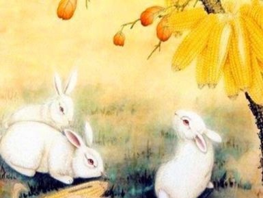 属兔和属鸡合不合，男兔女鸡大6岁的婚姻好不好