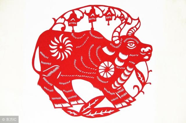 属牛72岁老人本命年如何避，属牛的人2022 年多少岁