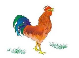 3年属鸡男更佳婚配属相，93年属鸡女的姻缘2022"