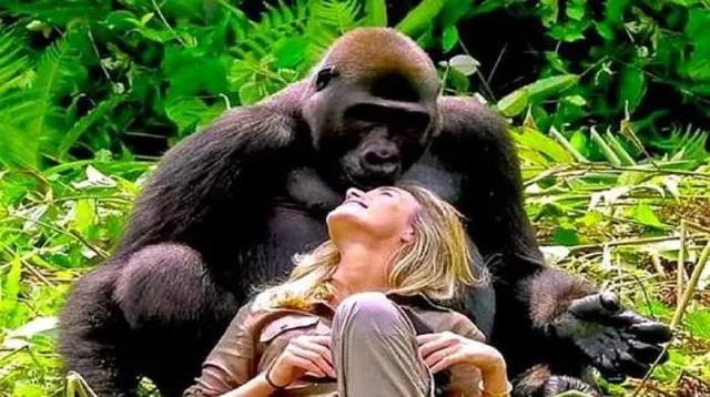 马是怎么交流配的多久时间，我要想看马怎样繁殖