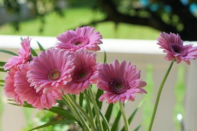 4年2022年运势,09年属牛2022运势"