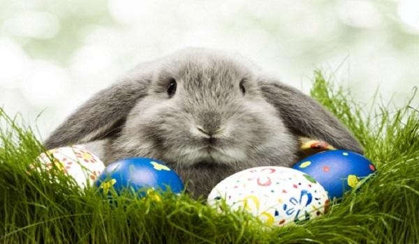 兔和兔的属相合不合财，属兔女比属蛇大男配吗