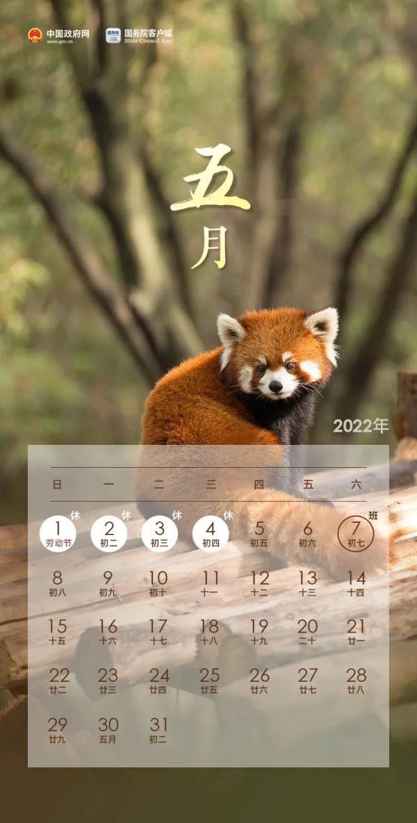 022年几月怀孕生兔宝宝,怀孕多久能用验孕棒测出来"