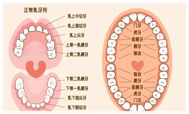 8年马跟90年马能在一起吗，马跟马的婚姻能长久吗"