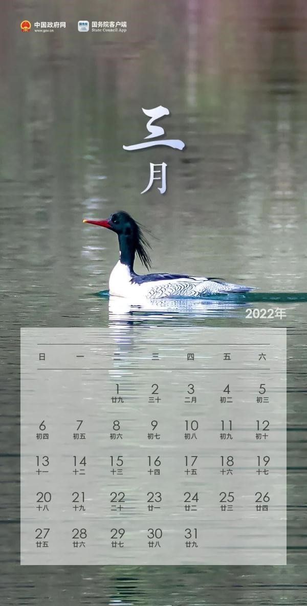 022年几月怀孕生兔宝宝,怀孕多久能用验孕棒测出来"