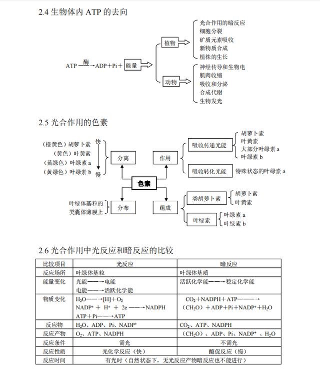 022十二生肖对照图表，十二生肖的顺序表"