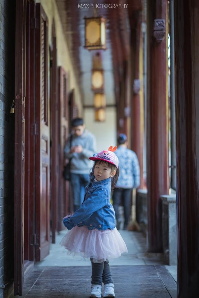 十二生肖排号图，十二生肖排行榜顺序