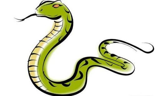 今年属蛇的女人运势，蛇女21年农历10月运势