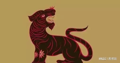 属龙女和属猴男，猴男龙女两生肖相配吗